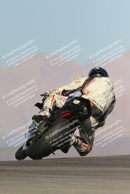 media/Nov-12-2023-SoCal Trackdays (Sun) [[5d1fba4e7d]]/Turn 9 Backside (1015am)/